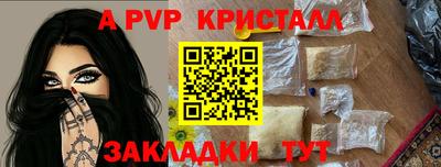 шишки Усть-Илимск