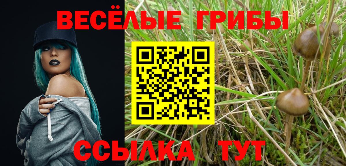 Галлюциногенные грибы прущие грибы  Галлюциногенные грибы MAGIC MUSHROOMS  Шебекино  Вход с VPN 