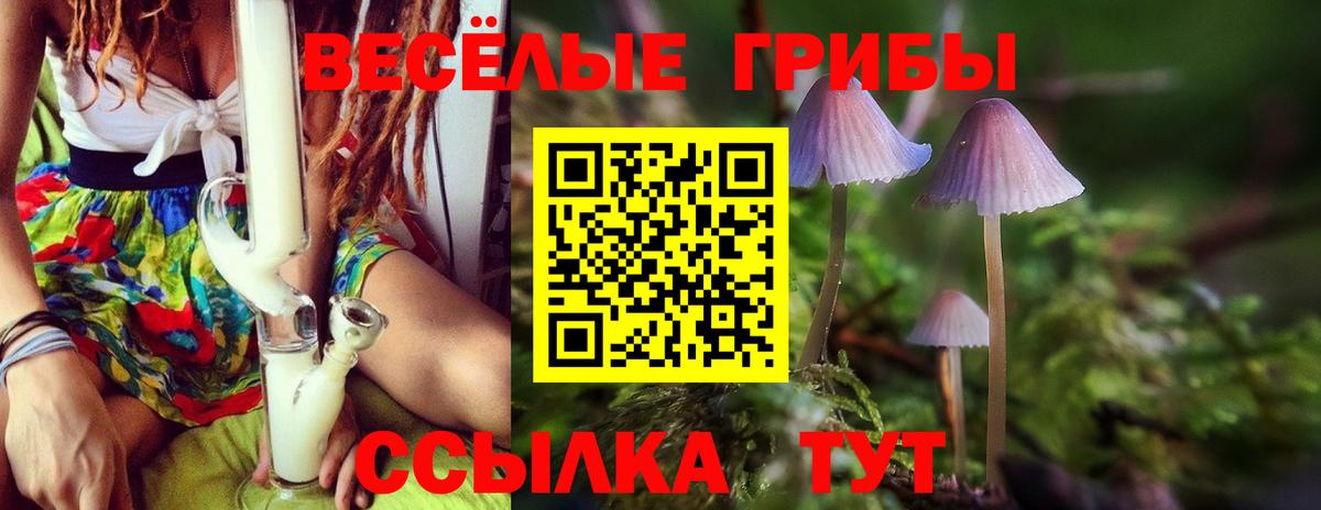 Галлюциногенные грибы мухоморы Шебекино