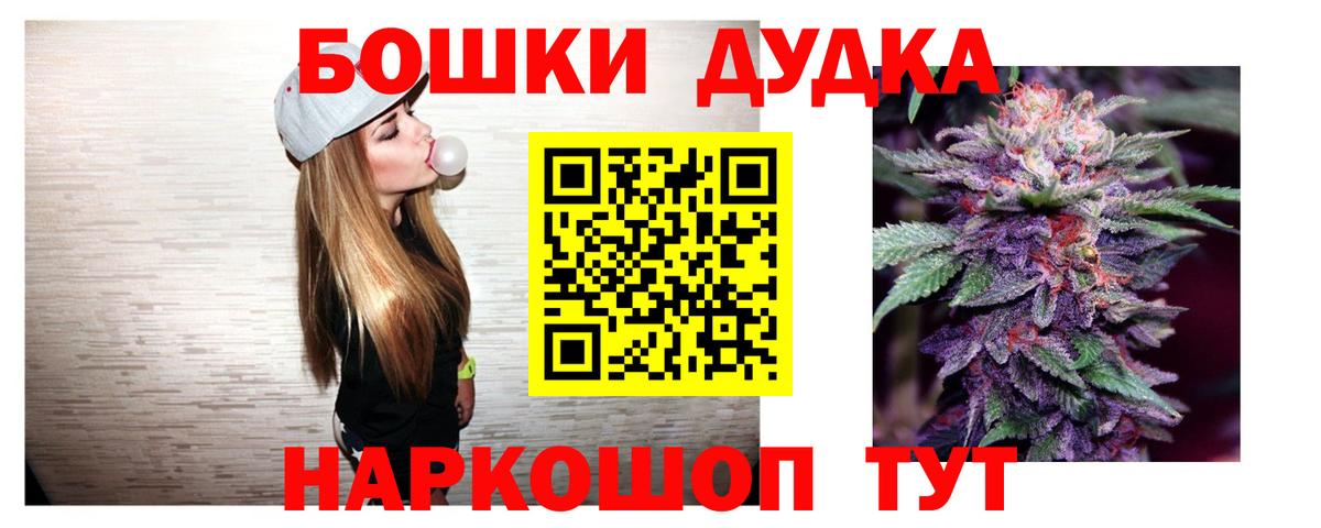 Бошки Шишки план Шебекино